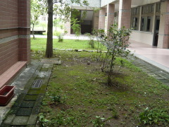 112校園環境清潔:01806